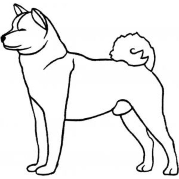 Dog-Dcg542 - Image 1
