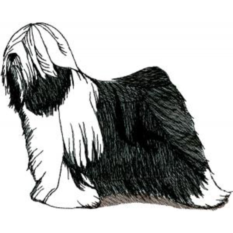 dcg546.jpg Dog-Dcg546 - Image 1