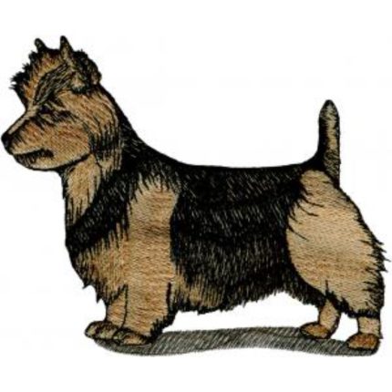 Dog-Dcg557