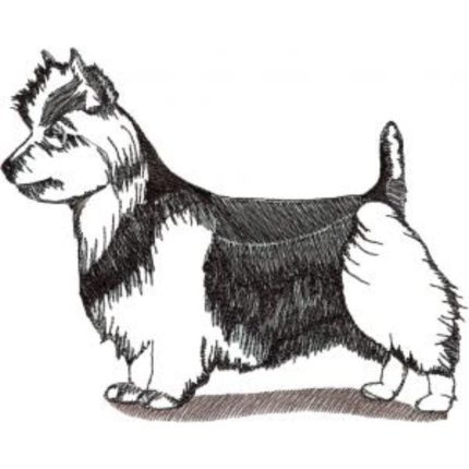 Dog-Dcg559
