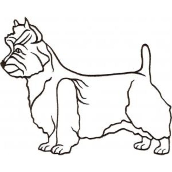 Dog-Dcg561 - Image 1