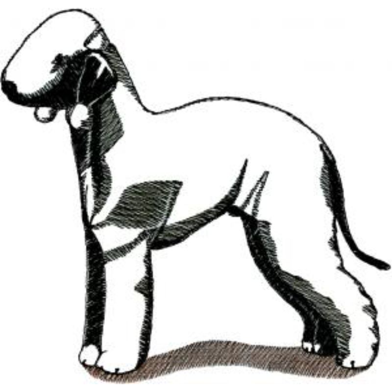 dcg565.jpg Dog-Dcg565 - Image 1