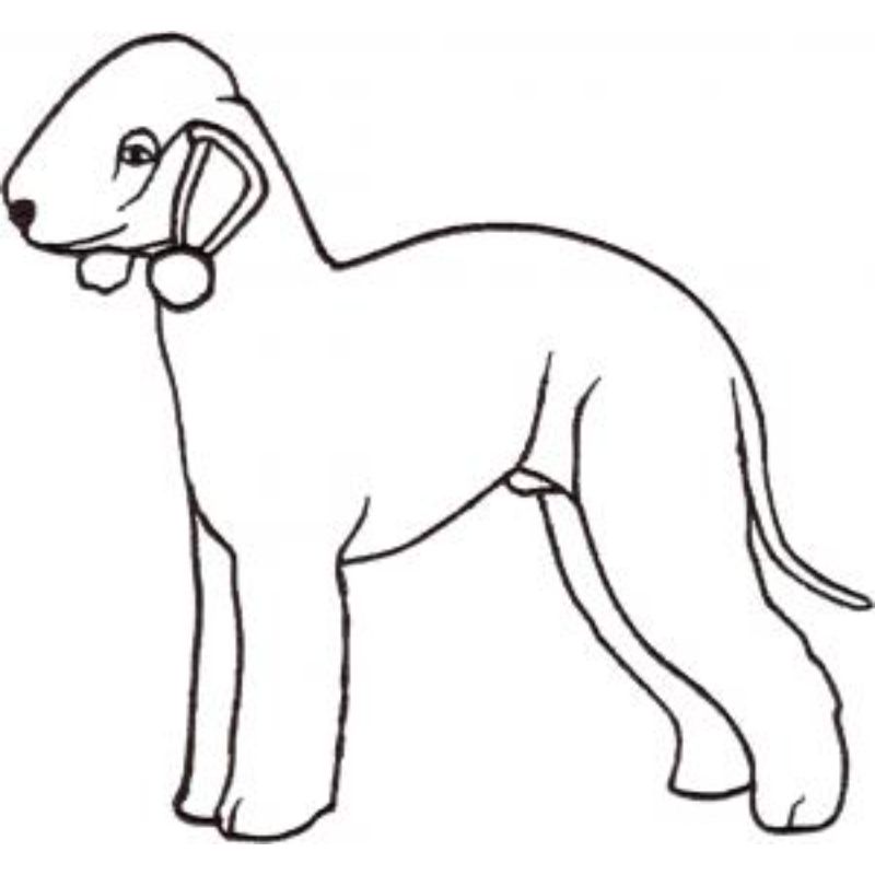 dcg567.jpg Dog-Dcg567 - Image 1