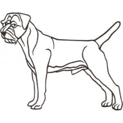 Dog-Dcg573