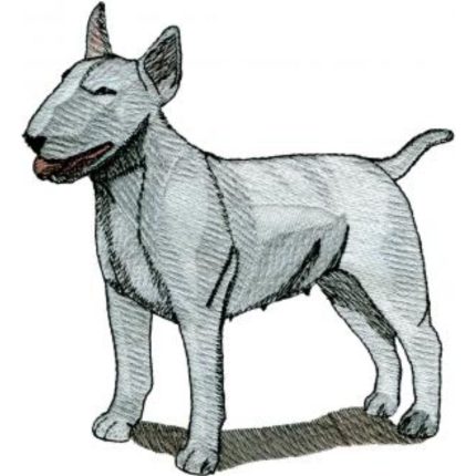 Dog-Dcg575