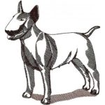 Dog-Dcg577