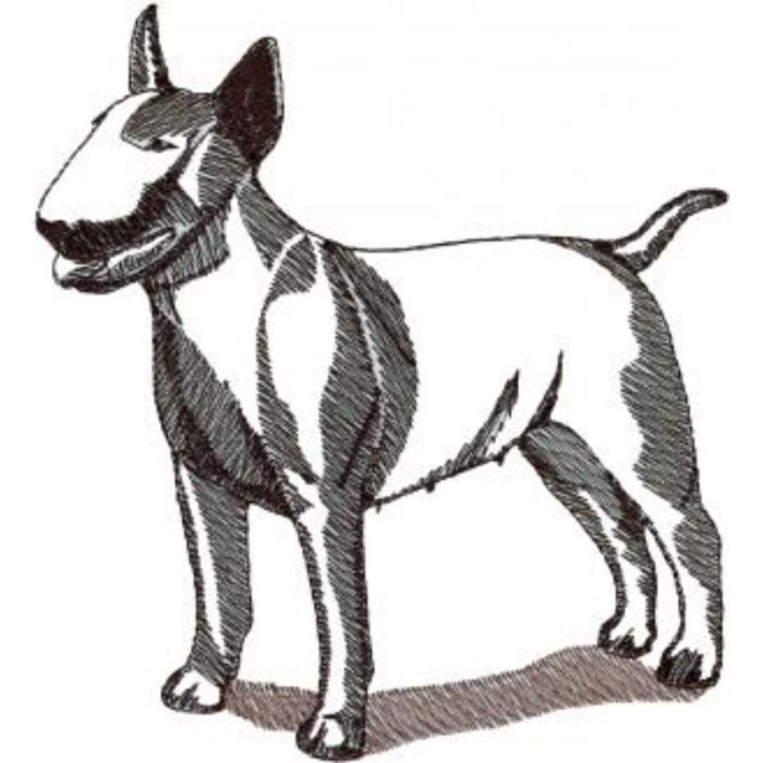 Dog-Dcg577 - Image 1