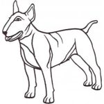Dog-Dcg579