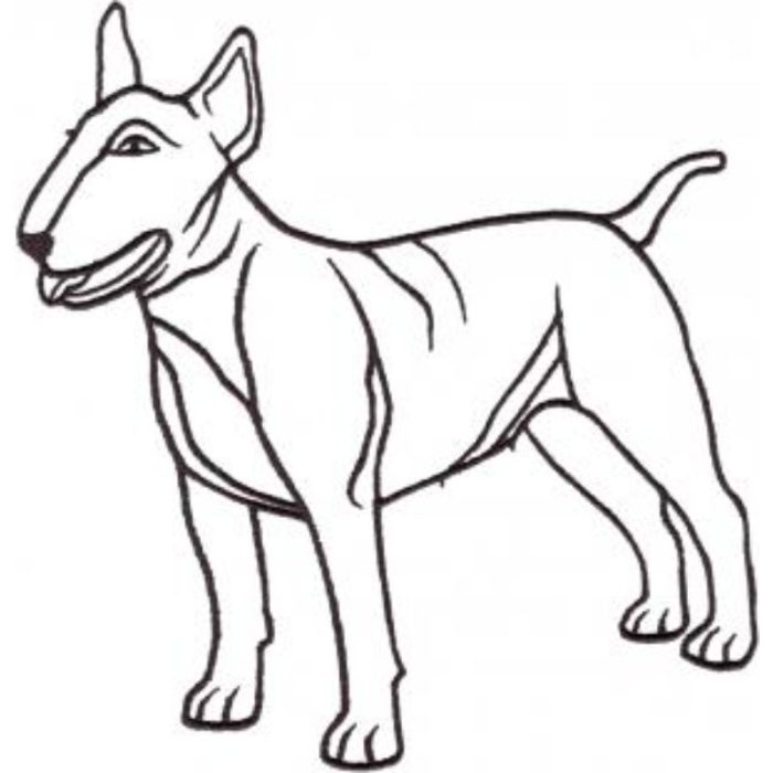 Dog-Dcg579 - Image 1
