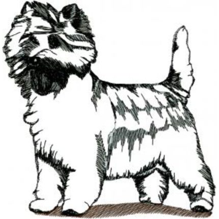 Dog-Dcg583