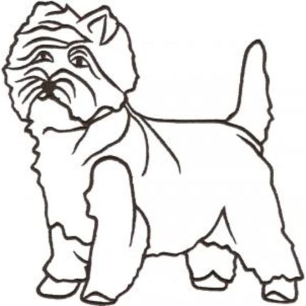 Dog-Dcg585