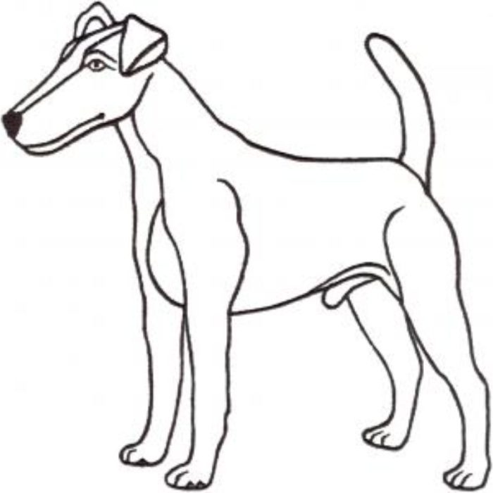 Dog-Dcg597 - Image 1
