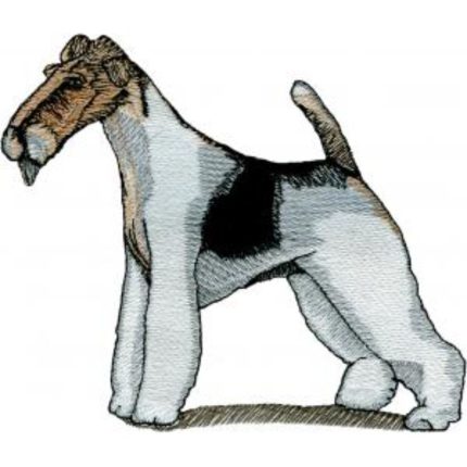 Dog-Dcg599