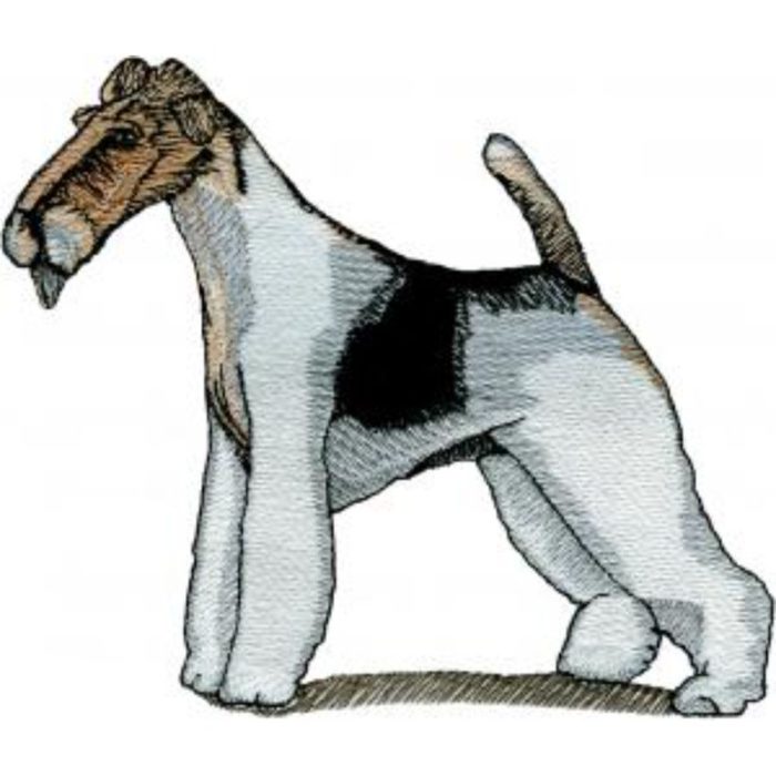 Dog-Dcg599 - Image 1