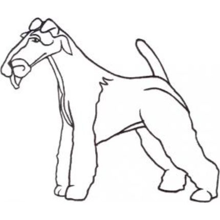 Dog-Dcg603