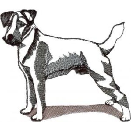 Dog-Dcg607