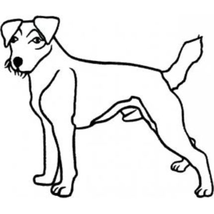 Dog-Dcg609