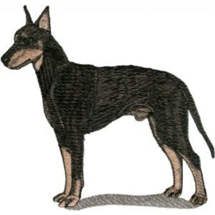 Dog-Dcg617