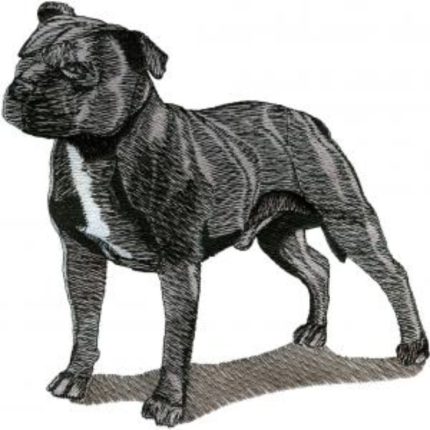 Dog-Dcg649