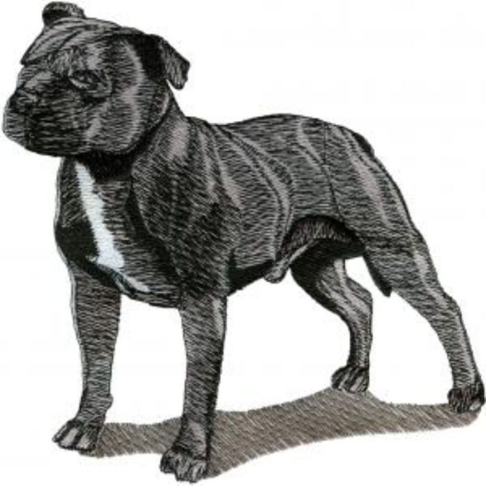 Dog-Dcg649 - Image 1