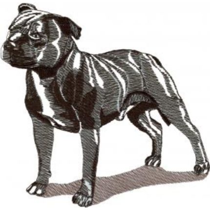 Dog-Dcg651