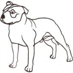 Dog-Dcg653