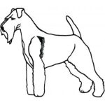 Dog-Dcg659