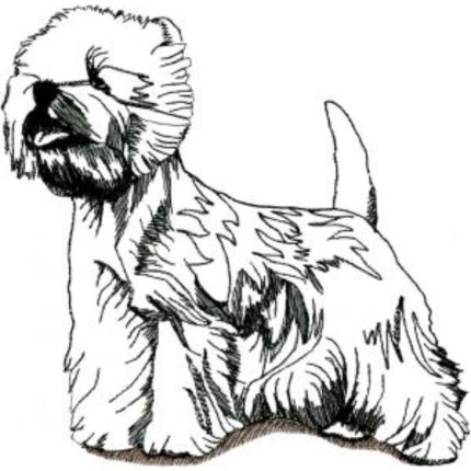 Dog-Dcg663