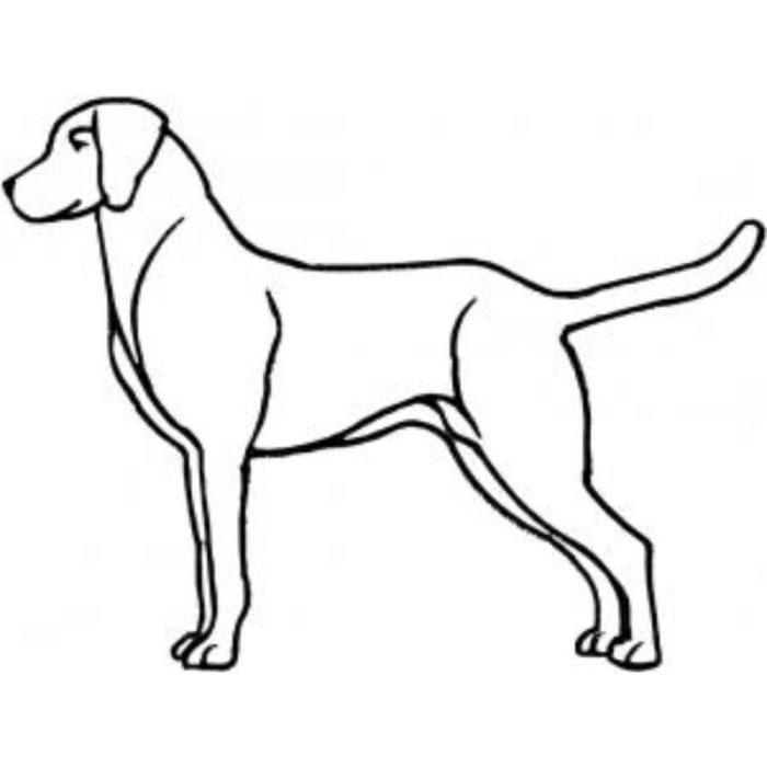 Dog-Dcg671 - Image 1