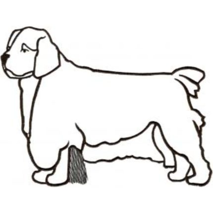 Dog-Dcg673