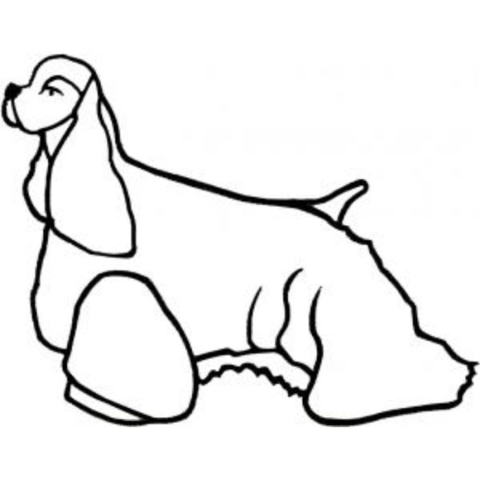 Dog-Dcg675 - Image 1
