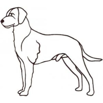 Dog-Dcg677