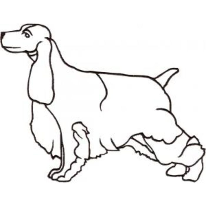 Dog-Dcg679 - Image 1