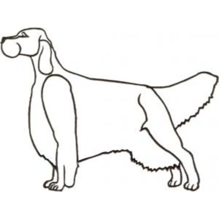 Dog-Dcg681