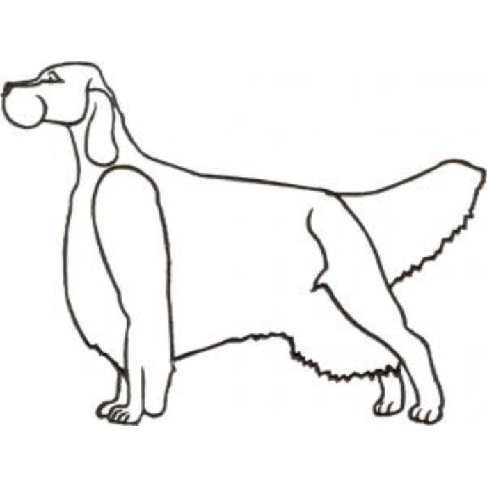 Dog-Dcg681 - Image 1