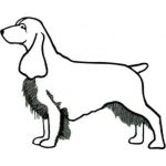 Dog-Dcg685