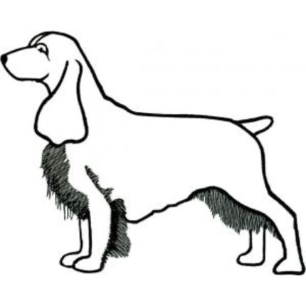 Dog-Dcg685
