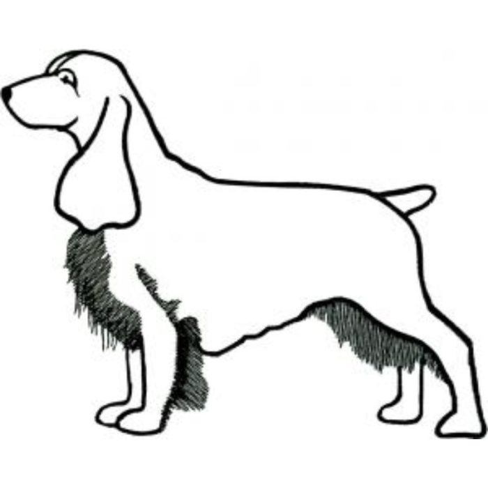 Dog-Dcg685 - Image 1