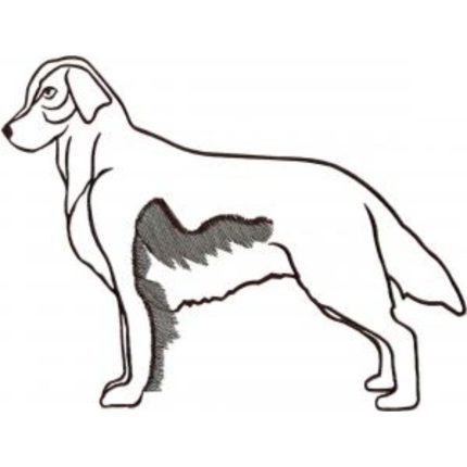Dog-Dcg687