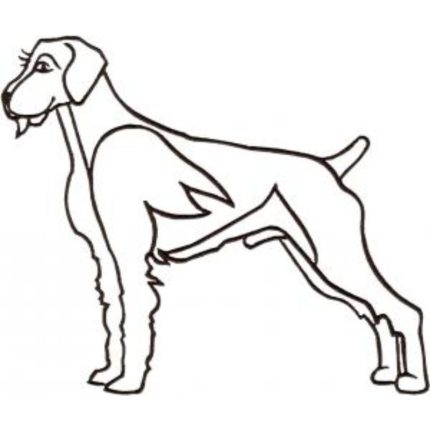 Dog-Dcg691
