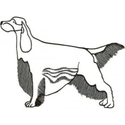 Dog-Dcg695