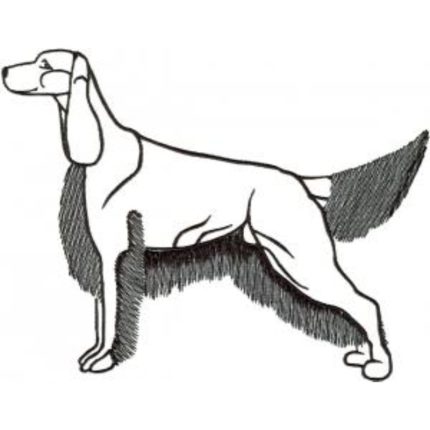 Dog-Dcg697