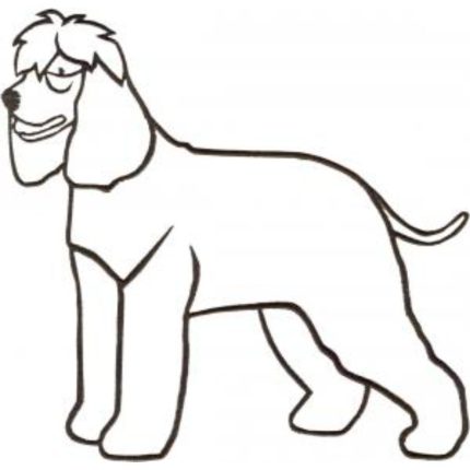 Dog-Dcg699