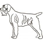 Dog-Dcg715