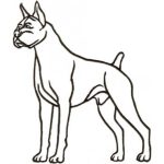 Dog-Dcg725