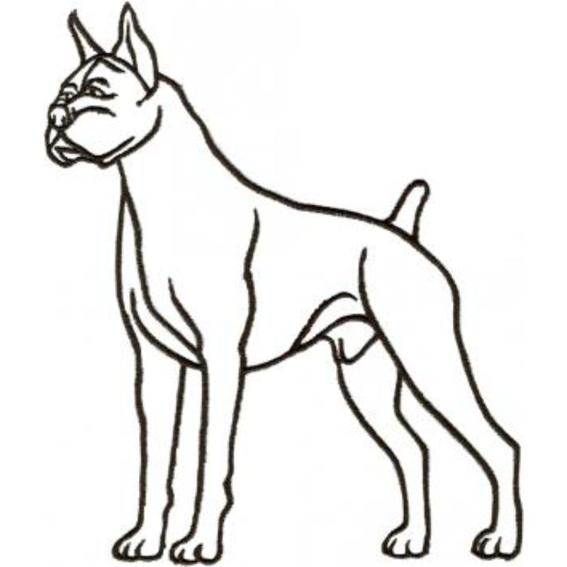 dcg725.jpg Dog-Dcg725 - Image 1