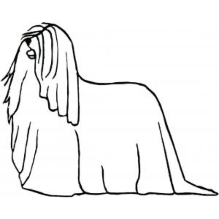Dog-Dcg731 - Image 1