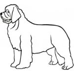 Dog-Dcg751