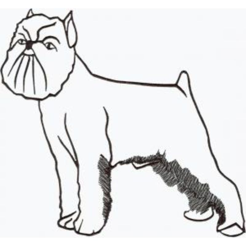 dcg765.jpg Dog-Dcg765 - Image 1