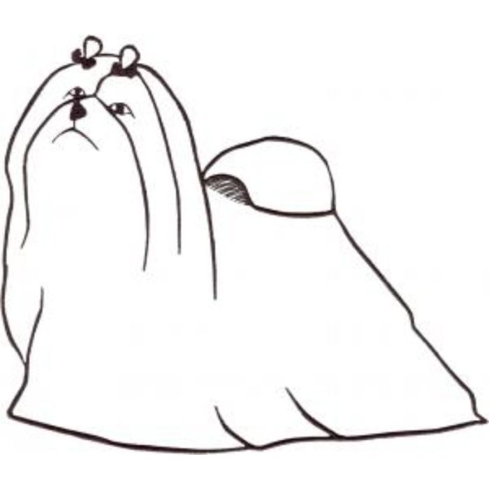 Dog-Dcg781 - Image 1